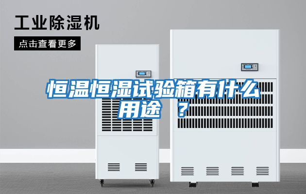 恒溫恒濕試驗箱有什么用途 ？