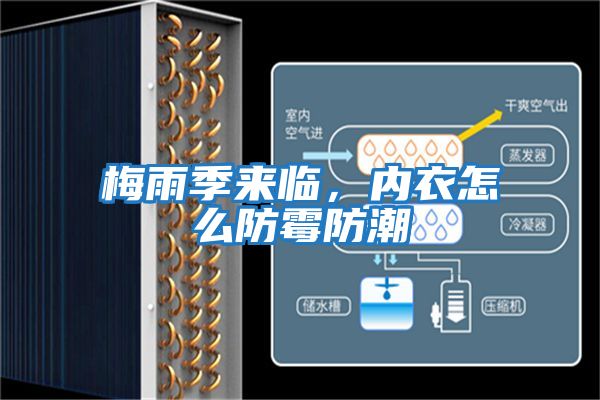 梅雨季來(lái)臨，內(nèi)衣怎么防霉防潮