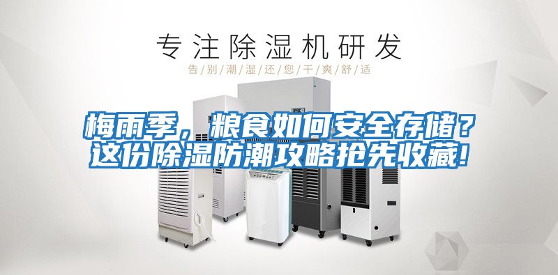 梅雨季，糧食如何安全存儲？這份除濕防潮攻略搶先收藏!