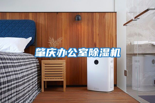 肇慶辦公室除濕機