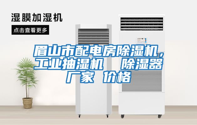 眉山市配電房除濕機(jī)，工業(yè)抽濕機(jī)  除濕器廠家 價格