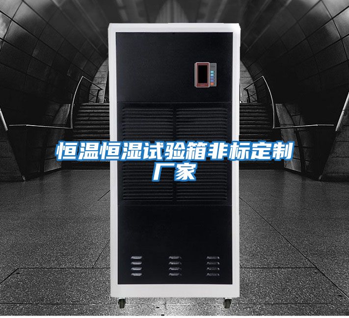 恒溫恒濕試驗(yàn)箱非標(biāo)定制廠(chǎng)家
