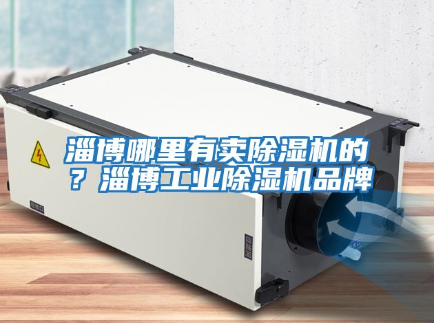 淄博哪里有賣除濕機的？淄博工業除濕機品牌