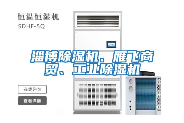 淄博除濕機、雁飛商貿(mào)、工業(yè)除濕機