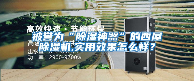 被譽(yù)為“除濕神器”的西屋除濕機(jī),實(shí)用效果怎么樣？