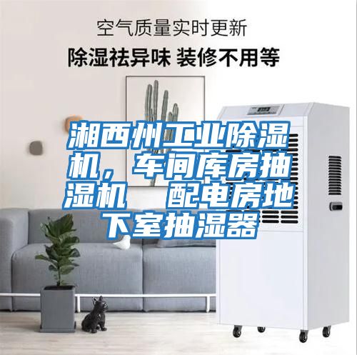 湘西州工業(yè)除濕機(jī)，車間庫(kù)房抽濕機(jī)  配電房地下室抽濕器