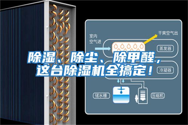 除濕、除塵、除甲醛,這臺除濕機全搞定!