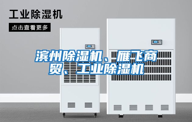 濱州除濕機、雁飛商貿、工業(yè)除濕機