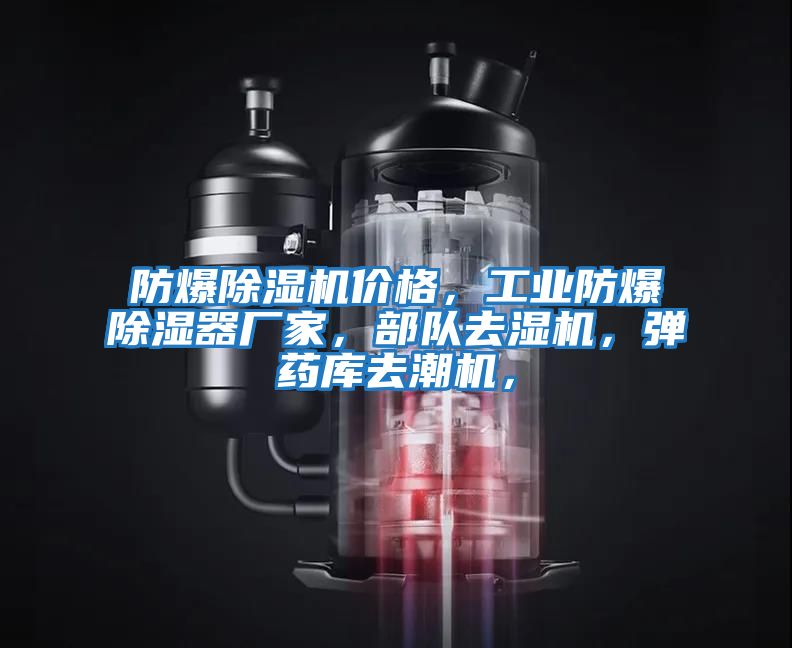 防爆除濕機價格，工業防爆除濕器廠家，部隊去濕機，彈藥庫去潮機，