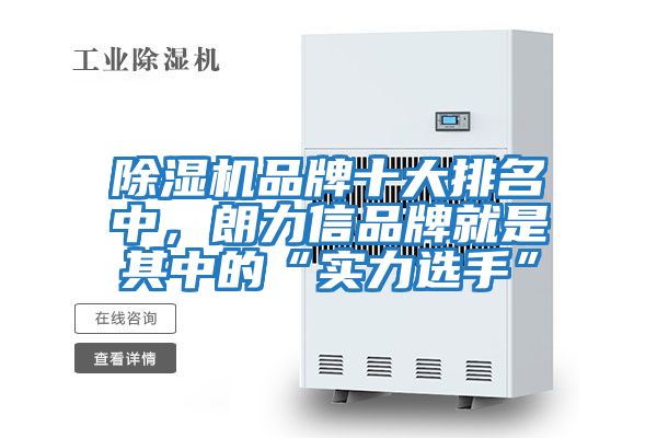 除濕機品牌十大排名中，朗力信品牌就是其中的“實力選手”