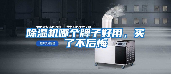 除濕機(jī)哪個(gè)牌子好用，買(mǎi)了不后悔