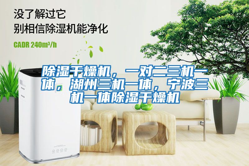 除濕干燥機(jī)，一對二三機(jī)一體，湖州三機(jī)一體，寧波三機(jī)一體除濕干燥機(jī)