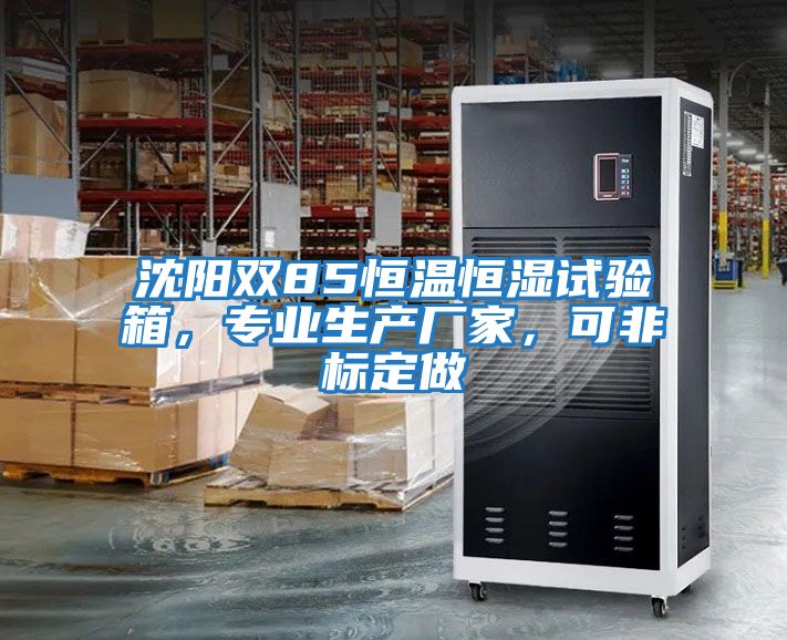 沈陽雙85恒溫恒濕試驗箱，專業生產廠家，可非標定做