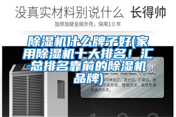 除濕機什么牌子好(家用除濕機十大排名！匯總排名靠前的除濕機品牌)