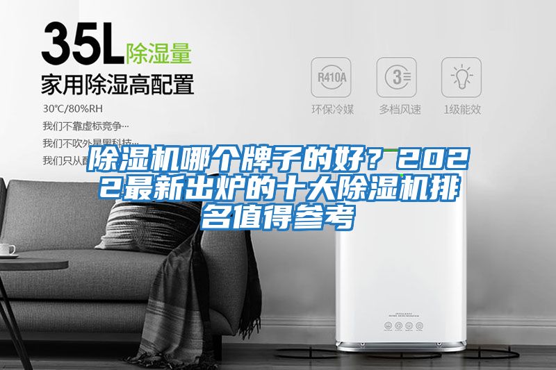 除濕機(jī)哪個牌子的好？2022最新出爐的十大除濕機(jī)排名值得參考