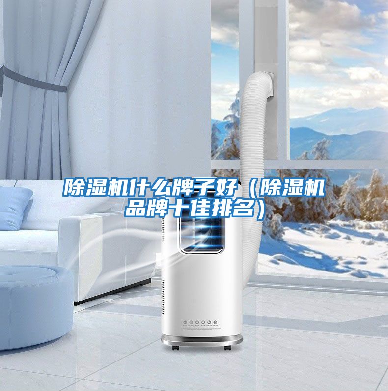 除濕機(jī)什么牌子好（除濕機(jī)品牌十佳排名）