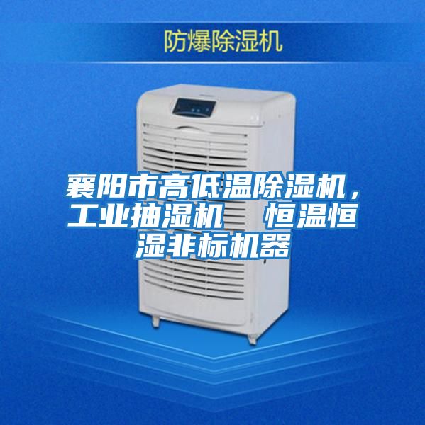 襄陽市高低溫除濕機，工業抽濕機  恒溫恒濕非標機器