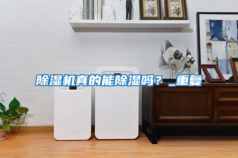 除濕機真的能除濕嗎？_重復