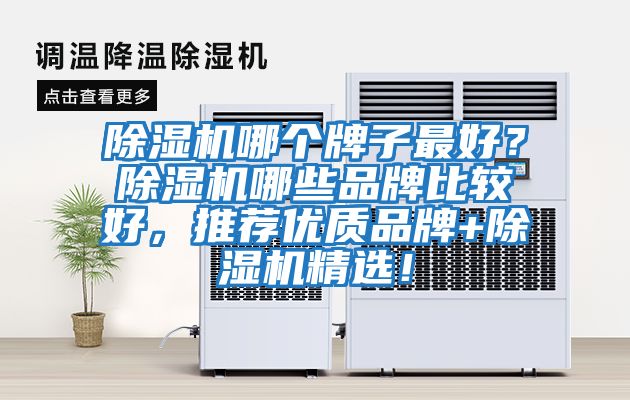 除濕機哪個牌子最好？除濕機哪些品牌比較好，推薦優(yōu)質品牌+除濕機精選！