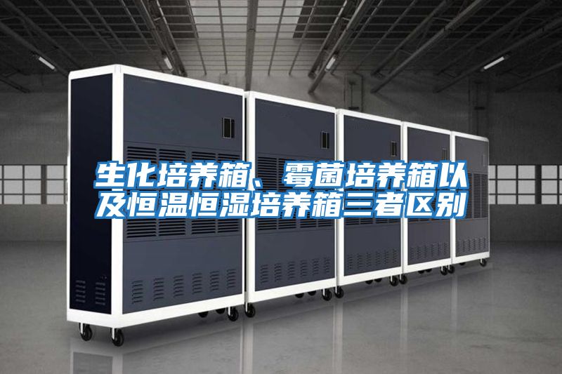 生化培養(yǎng)箱、霉菌培養(yǎng)箱以及恒溫恒濕培養(yǎng)箱三者區(qū)別