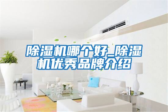 除濕機哪個好_除濕機優秀品牌介紹