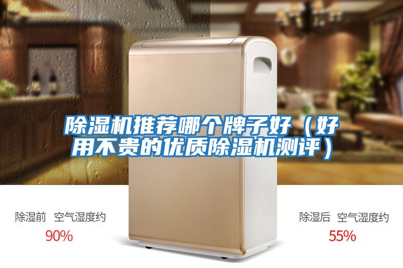 除濕機(jī)推薦哪個(gè)牌子好(好用不貴的優(yōu)質(zhì)除濕機(jī)測(cè)評(píng))