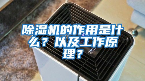 除濕機的作用是什么？以及工作原理？