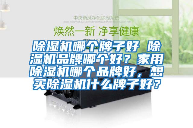 除濕機哪個牌子好 除濕機品牌哪個好？家用除濕機哪個品牌好，想買除濕機什么牌子好？