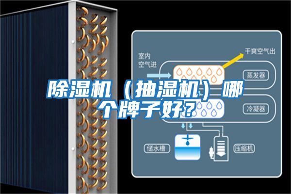 除濕機(jī)（抽濕機(jī)）哪個牌子好？