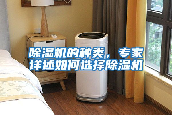 除濕機的種類，專家詳述如何選擇除濕機