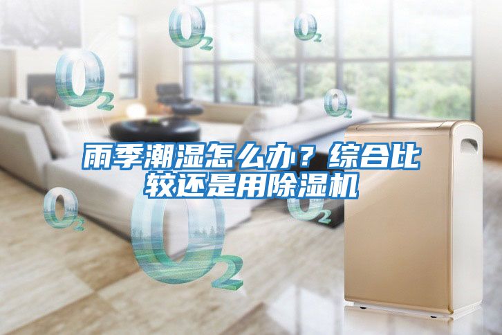 雨季潮濕怎么辦？綜合比較還是用除濕機