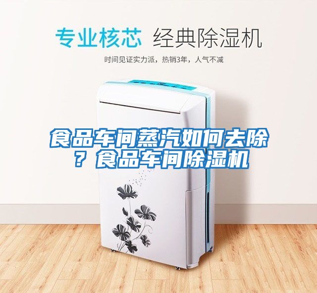 食品車間蒸汽如何去除？食品車間除濕機