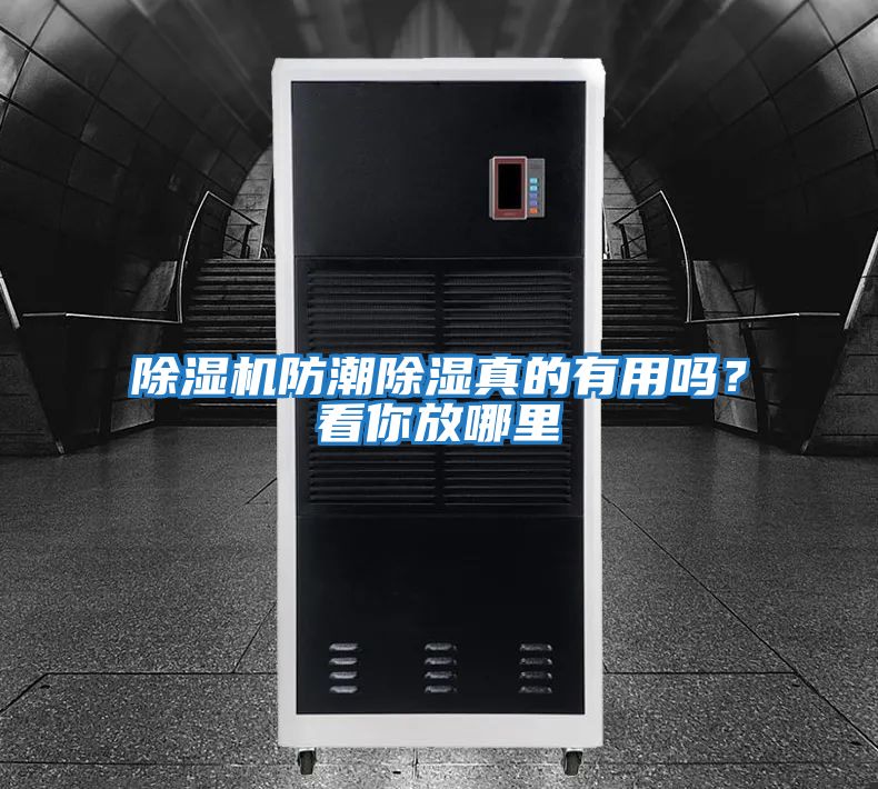 除濕機防潮除濕真的有用嗎？看你放哪里