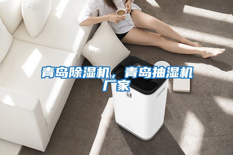 青島除濕機(jī)，青島抽濕機(jī)廠家
