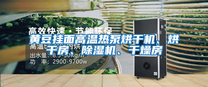 黃豆掛面高溫?zé)岜煤娓蓹C(jī)、烘干房、除濕機(jī)、干燥房