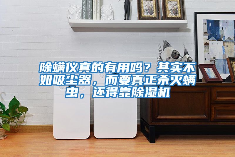 除螨儀真的有用嗎？其實不如吸塵器，而要真正殺滅螨蟲，還得靠除濕機